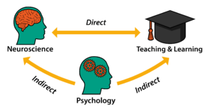 A graphic depicting the relationship among neuroscience, psychology, and teaching and learning